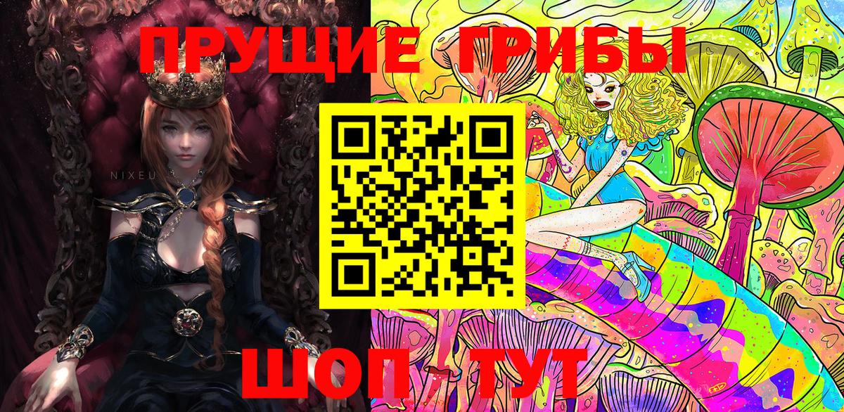 Псилоцибиновые грибы ЛСД  купить наркоту  Псилоцибиновые грибы Magic Shrooms  Домодедово  Вход с VPN 