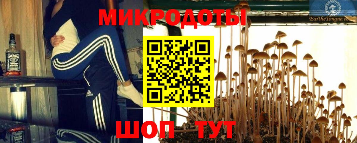 Псилоцибиновые грибы Cubensis Домодедово
